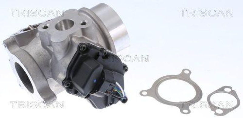 TRISCAN 8813 25200 Agr Ventil für Renault