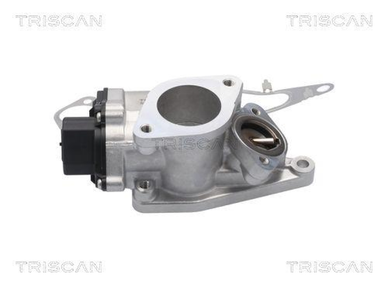 TRISCAN 8813 25201 Agr Ventil für Renault