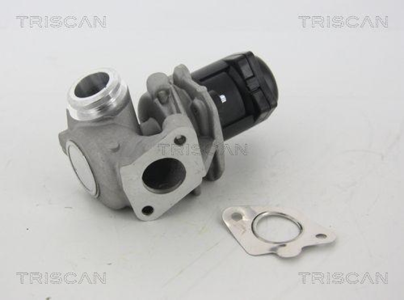 TRISCAN 8813 28003 Agr Ventil für Psa