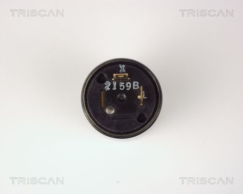 TRISCAN 1000 hd12 Blinkgeber für 12 Volt/2 Stikben - Standa