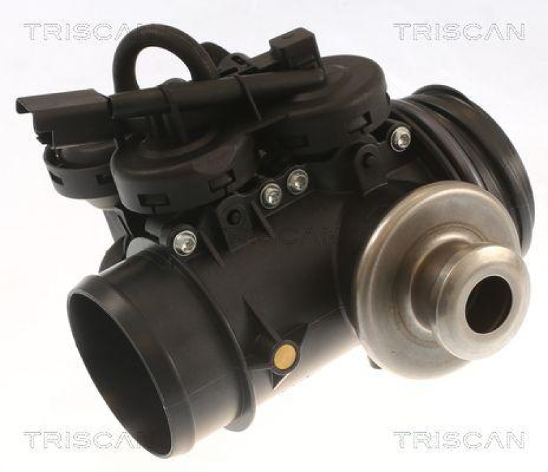 TRISCAN 8813 28045 Agr Ventil für Peugeot 206 1.9D