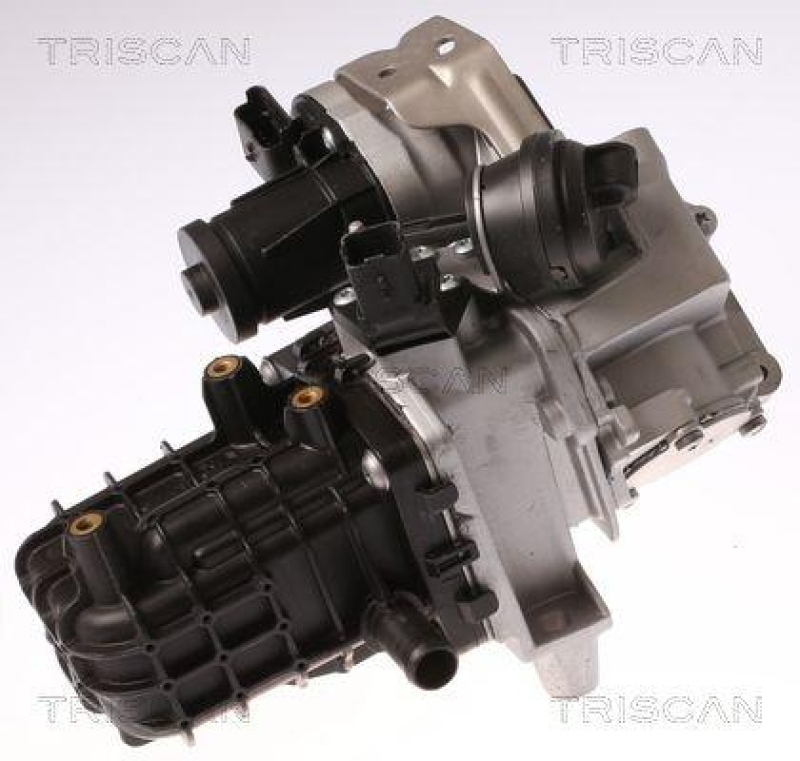 TRISCAN 8813 28046 Agr Ventil für Citroen, Peugeot