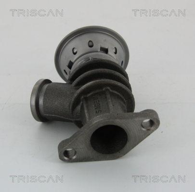 TRISCAN 8813 28100 Agr Ventil für Psa