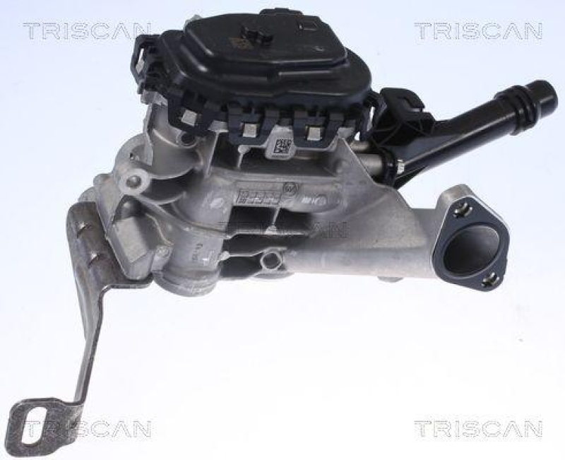 TRISCAN 8813 28103 Agr Ventil für Citroen, Ds, Peugeot