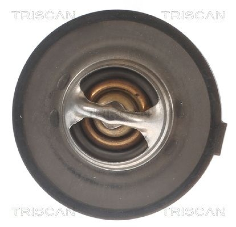 TRISCAN 8620 1875 Thermostat für Peugeot (1)