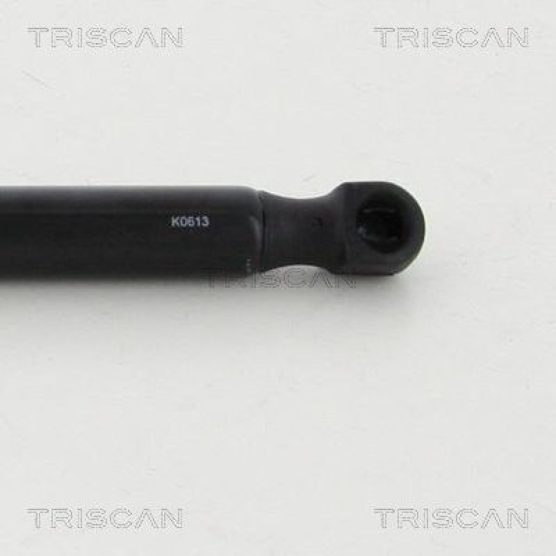 TRISCAN 8710 292030 Gasfeder Hinten für Skoda Rapid