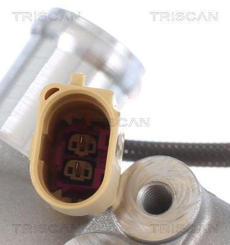 TRISCAN 8813 29008 Agr Ventil