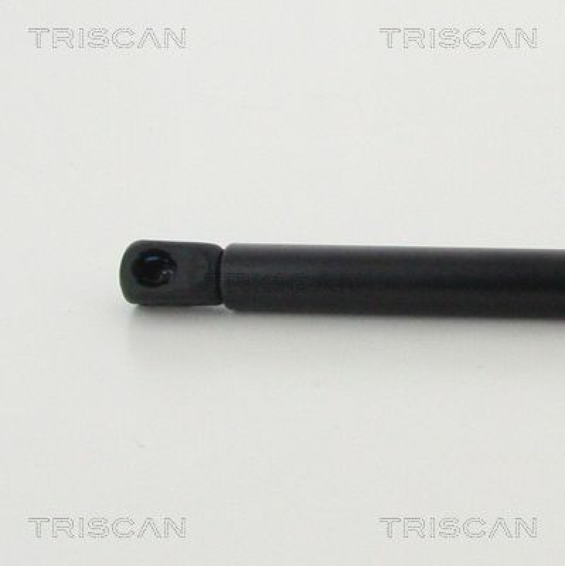 TRISCAN 8710 292038 Gasfeder Hinten für Audi Tt