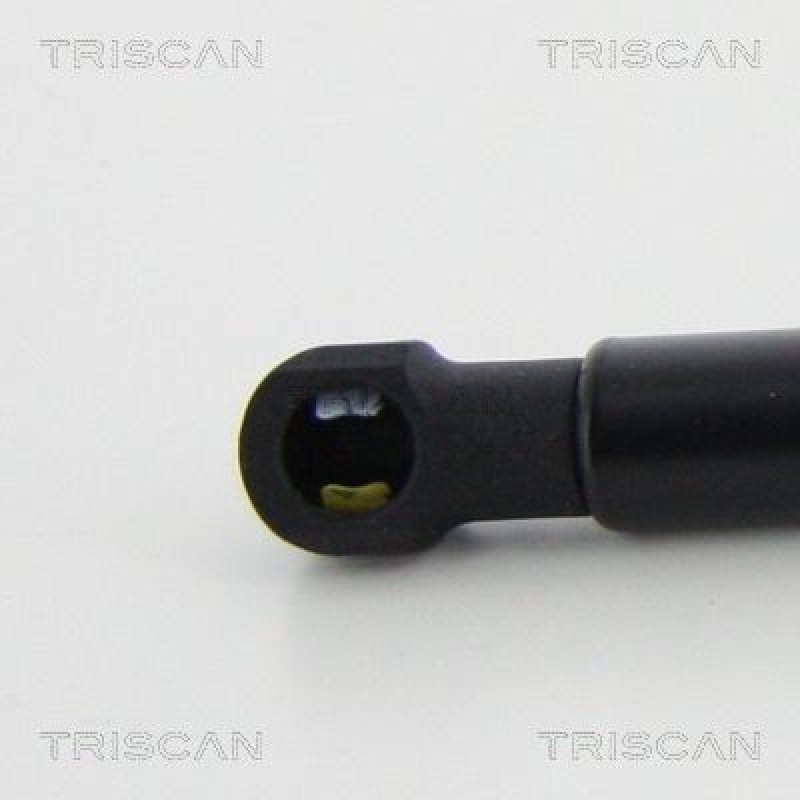 TRISCAN 8710 292039 Gasfeder Hinten für Audi A3