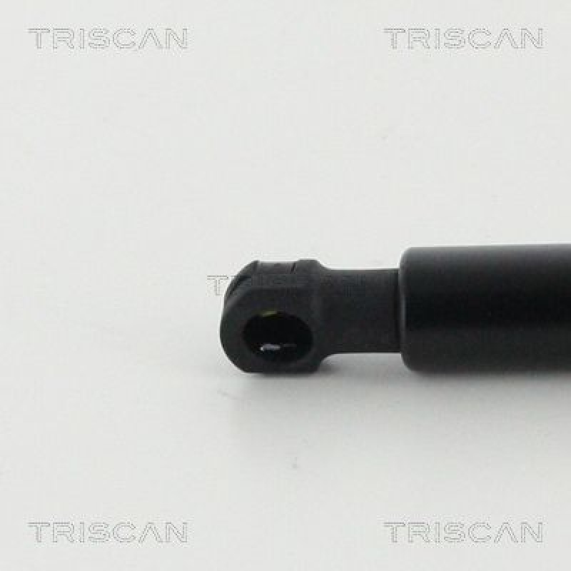 TRISCAN 8710 292040 Gasfeder Hinten für Audi A3 Cab