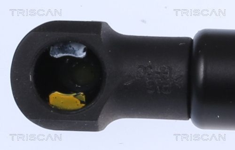 TRISCAN 8710 292055 Gasfeder Hinten für Audi A6