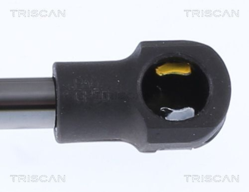 TRISCAN 8710 292058 Gasfeder Hinten für Audi A5 Cabrio