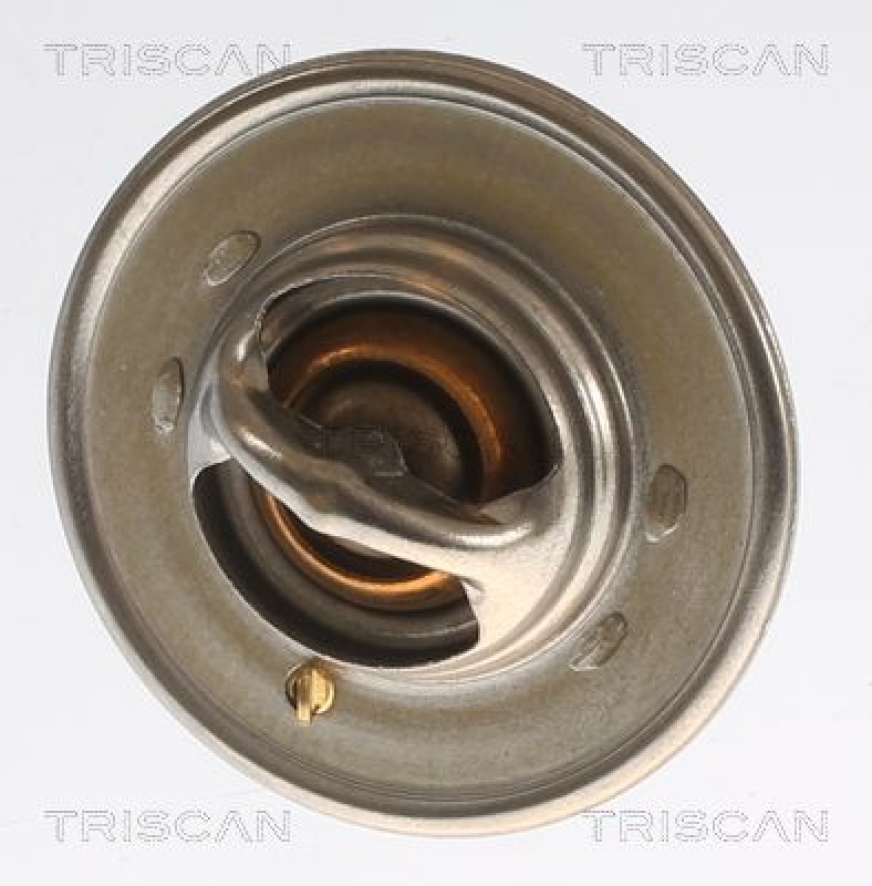 TRISCAN 8620 2191 Thermostat für Nissan, Saab (4)