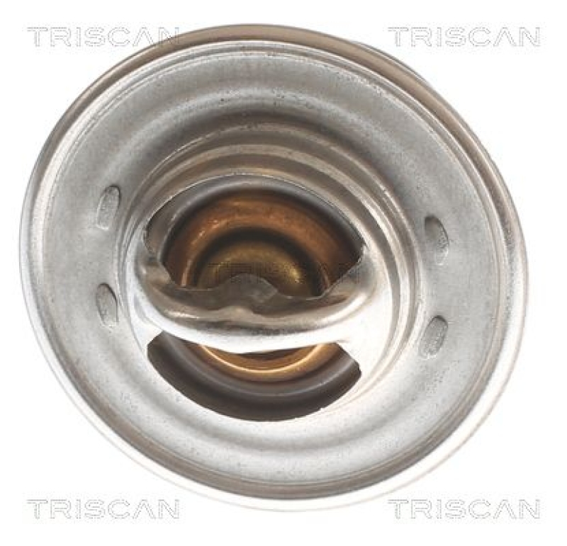 TRISCAN 8620 2291 Thermostat für Opel-Ohc Motor (1)