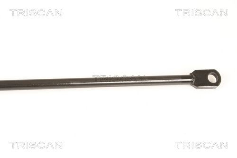 TRISCAN 8710 29216 Gasfeder Hinten für Seat Ibiza