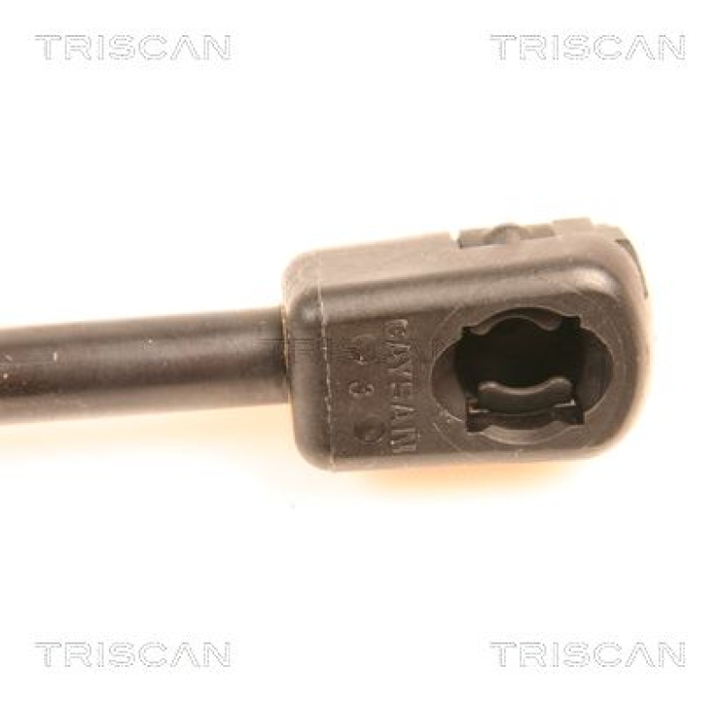 TRISCAN 8710 29251 Gasfeder Hinten für Audi Tt Coupe