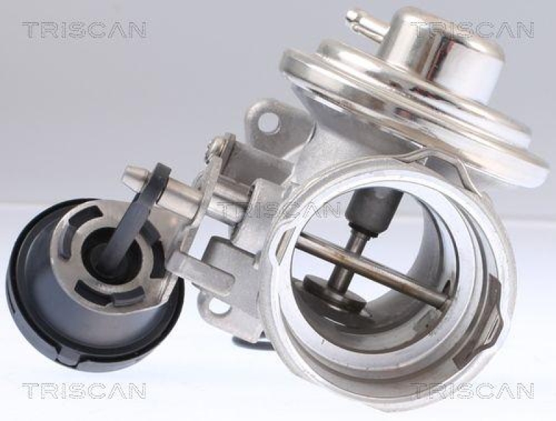 TRISCAN 8813 29308 Agr Ventil für Vw Beetle