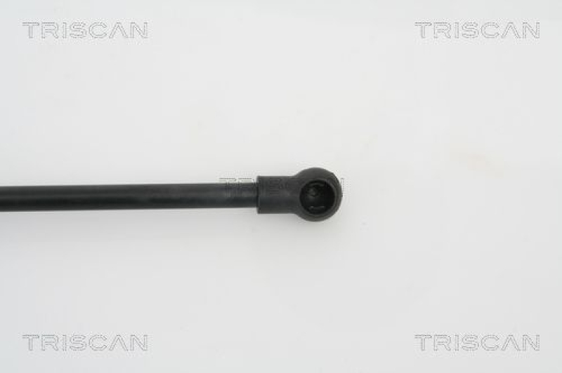 TRISCAN 8710 29265 Gasfeder Hinten für Seat Cordoba 6L2