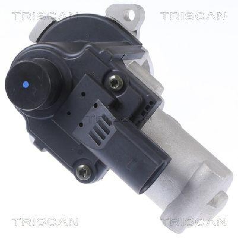 TRISCAN 8813 29310 Agr Ventil für Vw Transporter