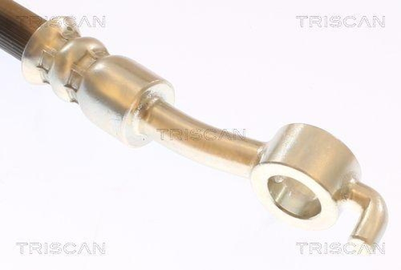 TRISCAN 8150 432012 Bremsschlauch Hinten für Hyundai, Kia