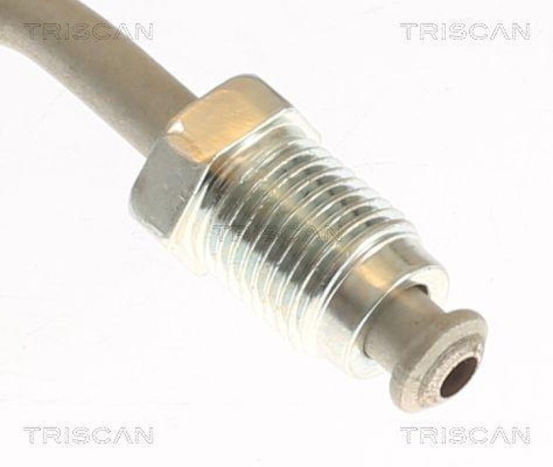 TRISCAN 8150 432019 Bremsschlauch Hinten für Hyundai, Kia