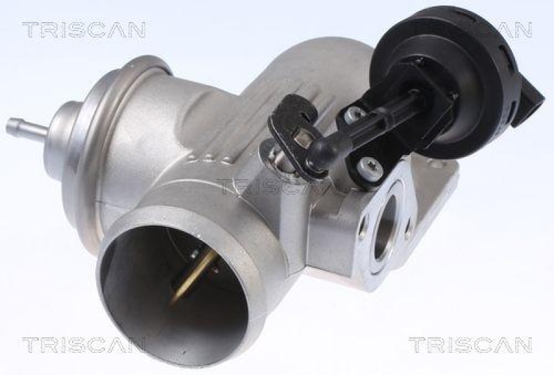 TRISCAN 8813 29342 Agr Ventil für Vw