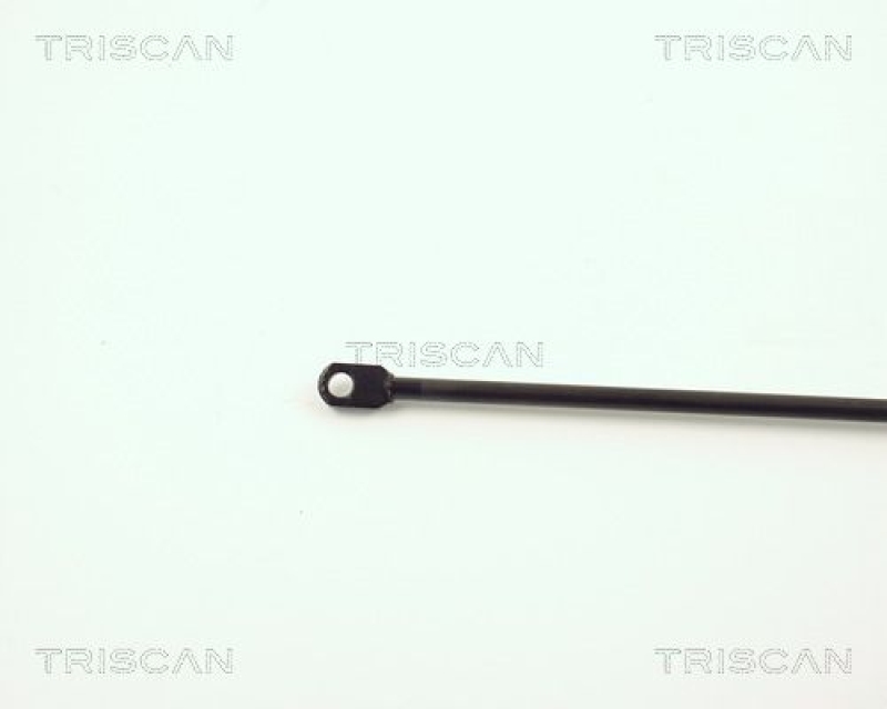 TRISCAN 8710 3801 Gasfeder Hinten für Citroén Visa