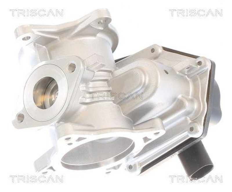 TRISCAN 8813 29348 Agr Ventil für Vw