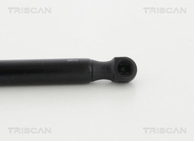 TRISCAN 8710 38106 Gasfeder Vorne für Citroen Ds5