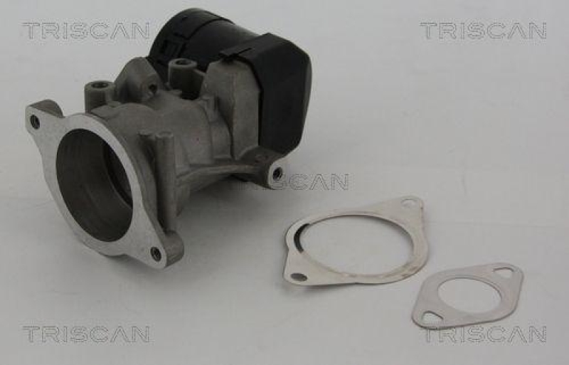 TRISCAN 8813 10001 Agr Ventil für Ford/Volvo/Mazda