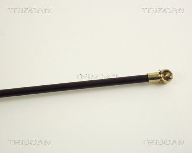 TRISCAN 8710 38201 Gasfeder Hinten für Citroén Xm Break