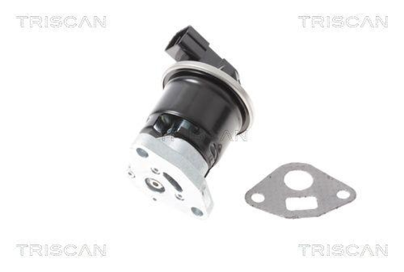 TRISCAN 8813 40013 Agr Ventil für Honda