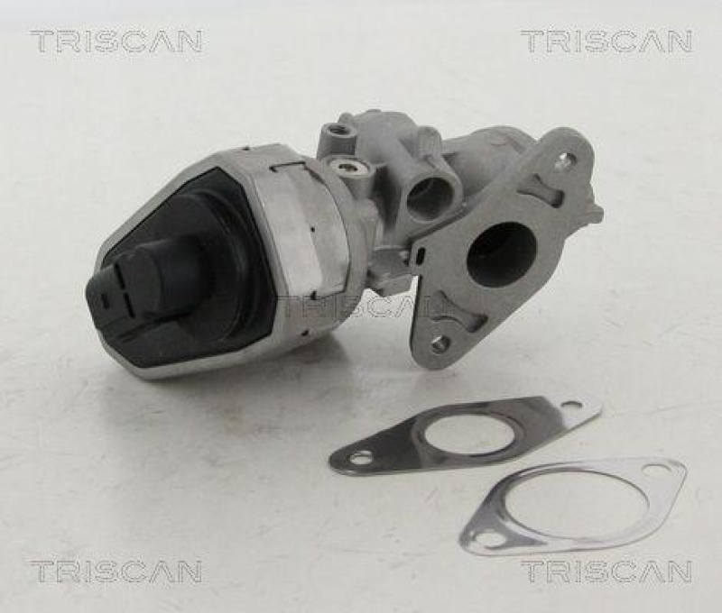 TRISCAN 8813 10002 Agr Ventil für Psa/Fiat/Gm