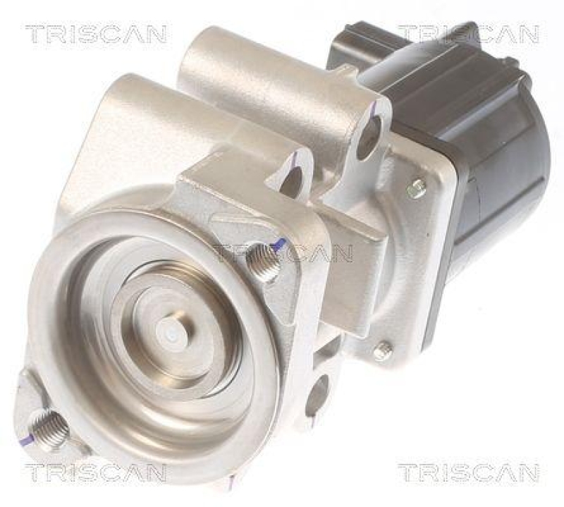 TRISCAN 8813 42001 Agr Ventil