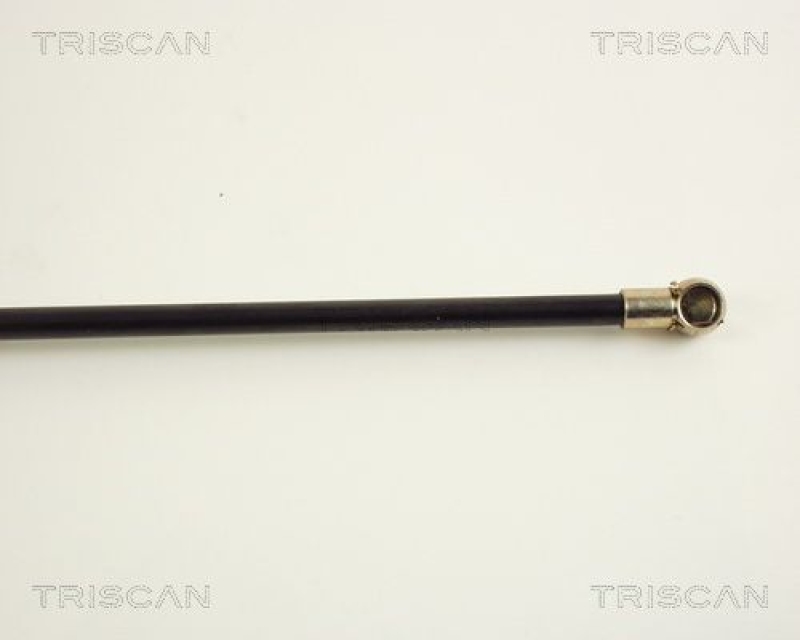 TRISCAN 8710 38209 Gasfeder Hinten für Citroén Xantia