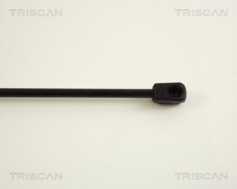 TRISCAN 8710 38216 Gasfeder Hinten für Citroen C3