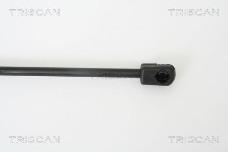 TRISCAN 8710 38218 Gasfeder Hinten für Citroen C2