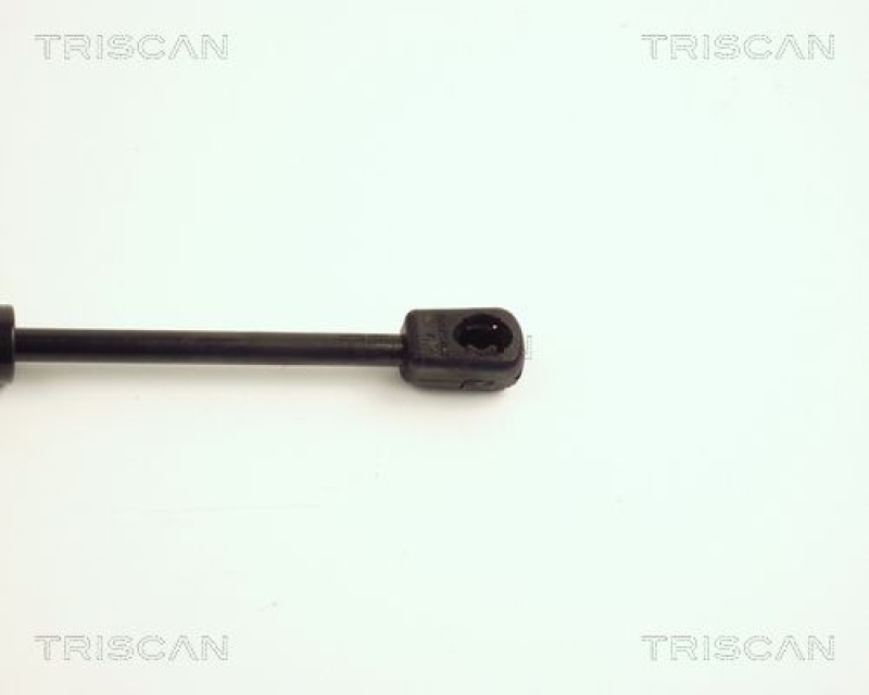 TRISCAN 8710 24224 Gasfeder Hinten für Opel Vectra C