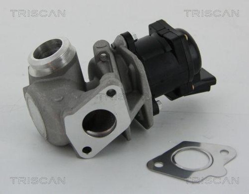 TRISCAN 8813 10010 Agr Ventil für Psa/Fiat/Gm