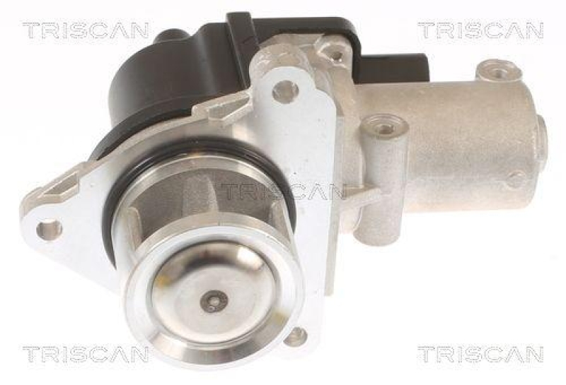 TRISCAN 8813 43010 Agr Ventil für Hyundai/Kia