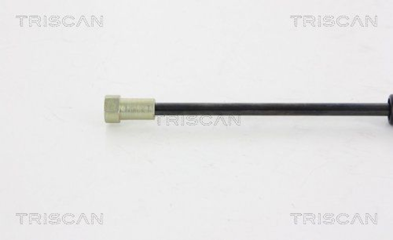 TRISCAN 8710 38226 Gasfeder Hinten für Citroën C5 (Rd)