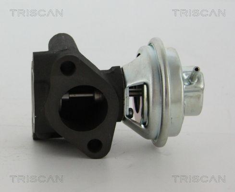 TRISCAN 8813 43016 Agr Ventil für Hyundai/Kia