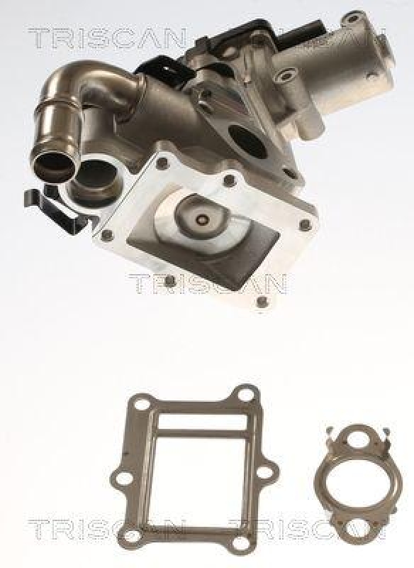 TRISCAN 8813 43017 Agr Ventil für Hyundai, Kia