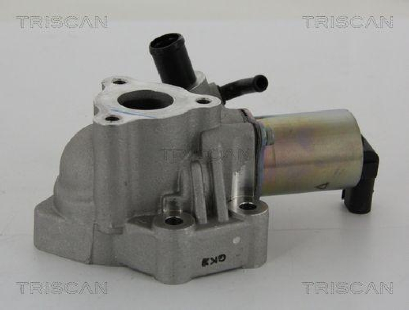 TRISCAN 8813 43020 Agr Ventil für Hyundai/Kia