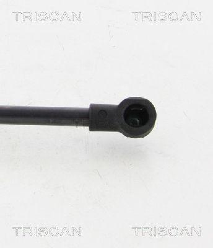 TRISCAN 8710 38231 Gasfeder Hinten für Citroen C6