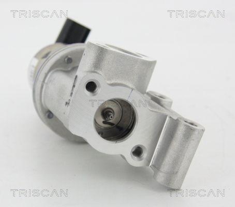 TRISCAN 8813 43021 Agr Ventil für Hyundai/Kia