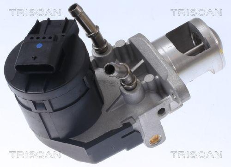 TRISCAN 8813 11001 Agr Ventil für Bmw