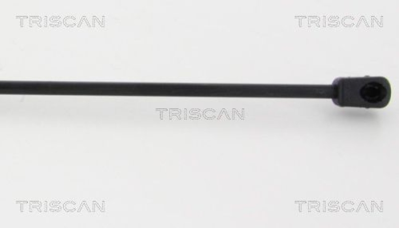 TRISCAN 8710 38234 Gasfeder Hinten für Citroen C4