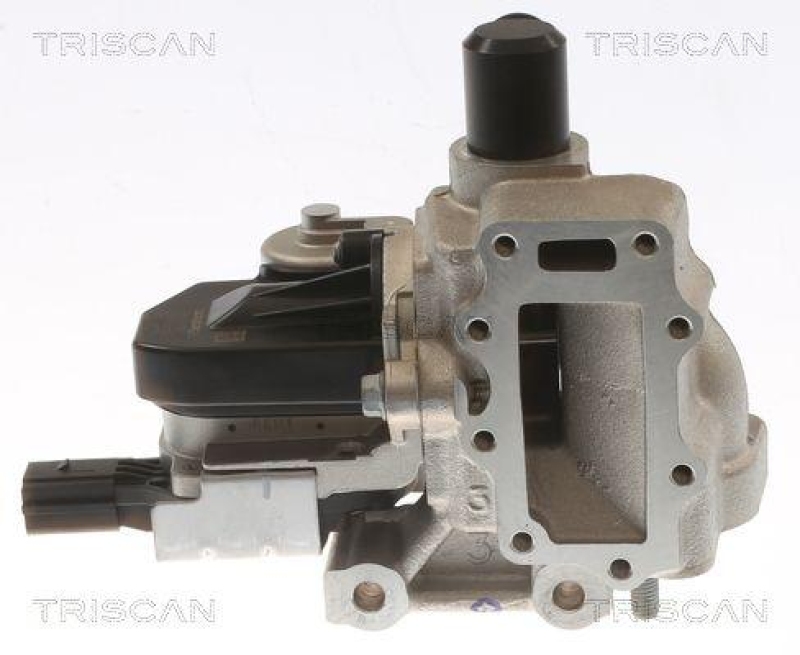 TRISCAN 8813 43054 Agr Ventil für Hyundai I20 D, Kia Rio D