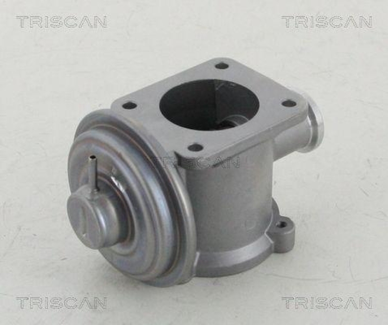 TRISCAN 8813 11003 Agr Ventil für Bmw